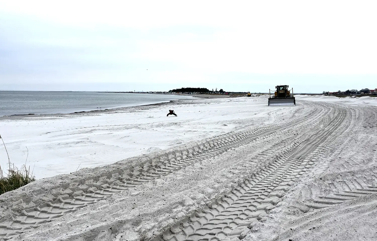 Norra stranden är bred i år. Inte bara för att den fått tillskott av sand. Isen hjälpte till att hålla kvar den.